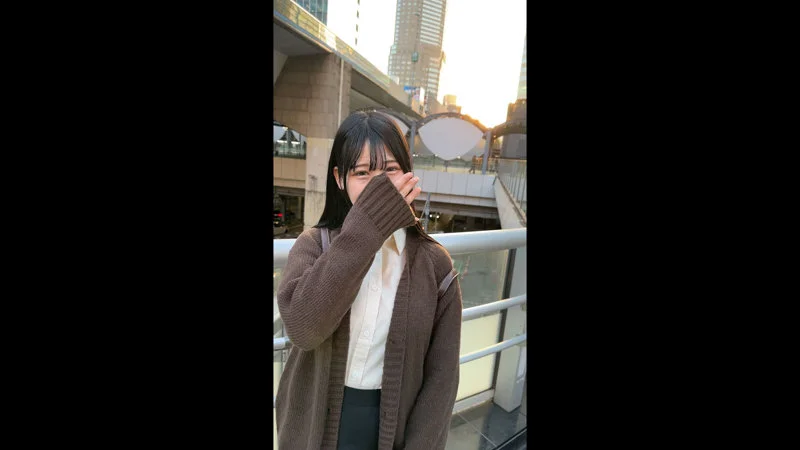 サンプル画像