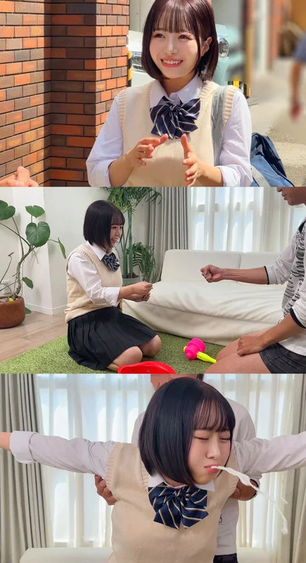 サンプル画像