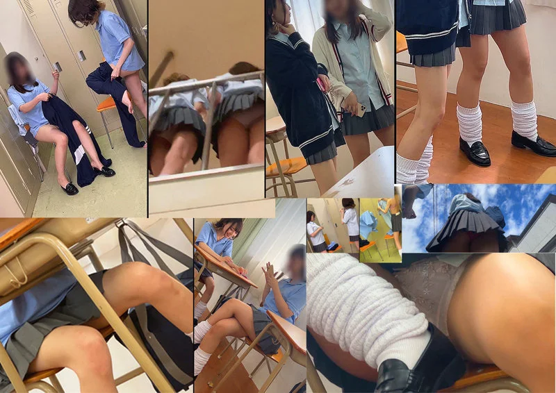 サンプル画像