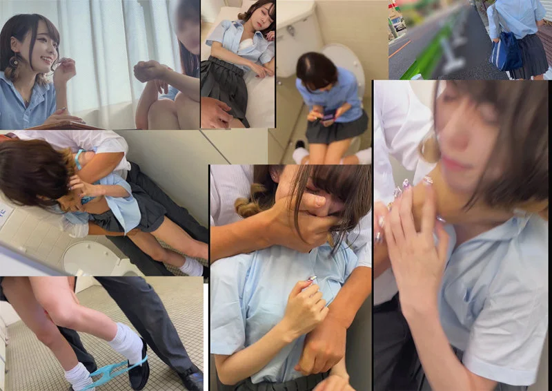 サンプル画像